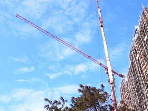 新鎂強企業有限公司